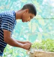 Saving the world one seed at a time. a young man pruning his plants in his yard.