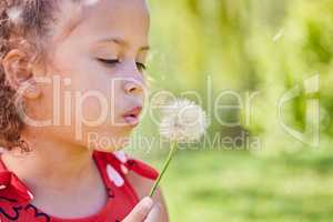 You see a weed, I see a wish. an adorable little girl blowing a dandelion while sitting at the park.