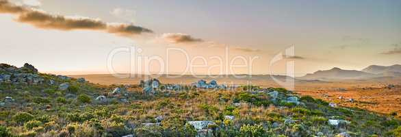 The wilderness of Cape Point National Park. The wilderness of Cape Point National Park, Western Cape, South Africa.