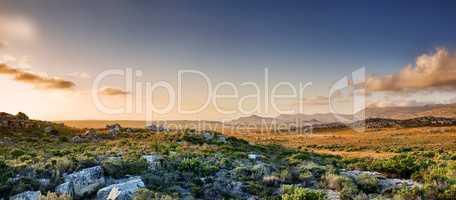 The wilderness of Cape Point National Park. The wilderness of Cape Point National Park, Western Cape, South Africa.