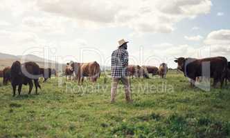 The greener the grass, the more they graze. Rearview shot of a man working on a cow farm.