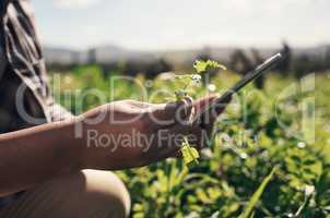 A small device that yields big results. an unrecognisable man using a digital tablet while working on a farm.