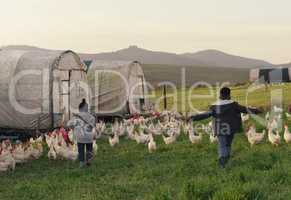 Less tv, more childhood memories. Rearview shot of two adorable children playing on a chicken farm.