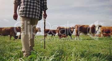 Follow me to where the grass is green. Rearview shot of a man working on a cow farm.