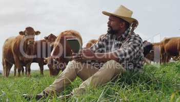 He beefed up his farming management tools. a mature man using a digital tablet while working on a cow farm.