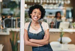I poured my passion into creating this profitable small business. Portrait of a young woman working in a cafe.