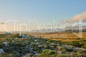 The wilderness of Cape Point National Park. The wilderness of Cape Point National Park, Western Cape, South Africa.