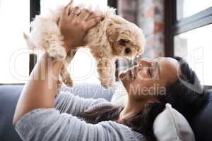 Love is a wet nose and a wagging tail. a young woman relaxing with her dog at home.