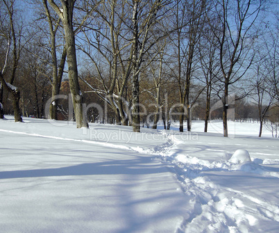 snow in sunny day