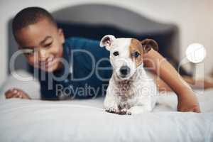 Growing up with the best brother in the world. an adorable little boy playing with his pet dog on the bed at home.