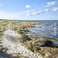 The East coast of Jutland, Denmark. Nature photos from Denmark.