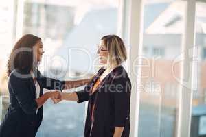 Handshake, meeting and successful manager welcoming, promoting and agreeing with a talking corporate colleague. Smiling team of confident professional women collaborating and showing office teamwork