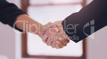 Im glad we reached an agreement. an unrecognizable female financial advisor shaking hands with a client in her office during the day.