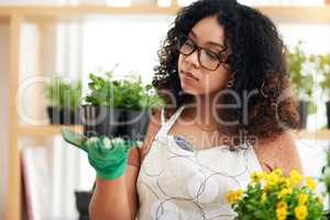 Which one should I go with. an attractive young female botanist comparing two sets of plants while working in her florist.