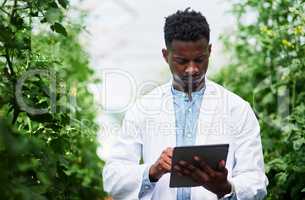 Recording and analyzing data is part of the job. a handsome young botanist using a digital tablet while working outdoors in nature.