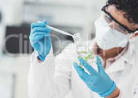 Its interesting how this plant is reacting to this environment... an unrecognizable female scientist dropping a liquid sample into a beaker containing a plant while working in a laboratory.