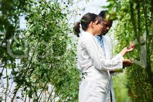 These are growing faster than expected. two young botanists working and studying plants together outdoors in nature.