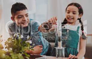 Its supposed to become sparkling clean. an a adorable little girl filtering dirty water while doing plant experiments with her brother at home.