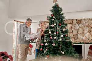We have so many decorations to choose from. a cheerful mature couple placing decorations on a Christmas tree inside at home during the day.