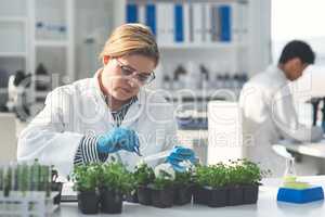 The cure might just be nature itself. an attractive young female scientist working with plants in a laboratory with her colleague in the background.