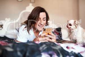 Looks like you have a playdate today. a beautiful young woman using her cellphone while lying on her bed with her dog.