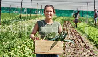 Mother nature spoils those who treat her well. Portrait of an attractive young woman carrying a crate full of vegetables outdoors on a farm.