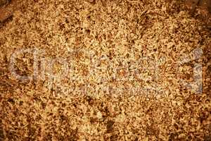 Wood shavings are often used for mulching and animal bedding. High angle shot of wood shavings on the floor inside a carpentry workshop.