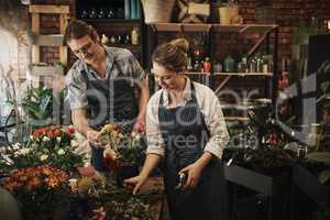 Were experts in the field of floristry. two young florists trimming flowers and working together inside their plant nursery.