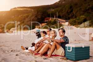 Enjoying beautiful scenery with beautiful people. a group of friends sitting together on the beach.