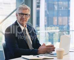 Whatever I want, I earn. Portrait of a mature businessman working in an office.