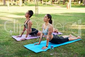 Hold for four counts. Full length shot of two attractive young women holding a yoga pose in the park during the day.