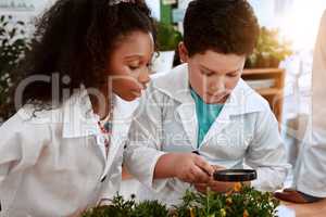 Every child loves a fun experiment. an adorable little boy and girl learning about plants at school.