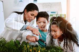 Something awesome is beginning to grow. an adorable little boy and girl learning about plants with their teacher at school.