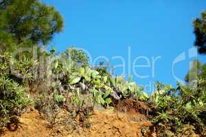 Mountain trails - La Palma, Canary Islands. Mountain trails on La Palma, the west coast, Canary Island, Spain, Aerial view.