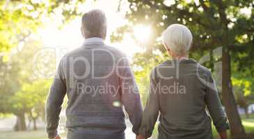 Love on the other side of youth. Rearview shot of an affectionate senior couple walking together while holding hands at the park.