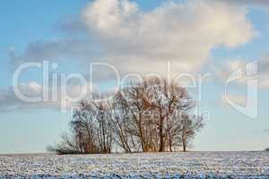 Farmland in winter - Denmark. Farmland in wintertime - Denmark.