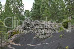 The Cumbre Nueva in La Palma. Beautiful lava landscape on the Cumbre Nueva in La Palma.