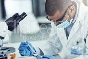 Science, medical research and medicine development with a male scientist testing a blood sample with a microscope. Male lab technician working to discover new innovation and breakthrough in treatment