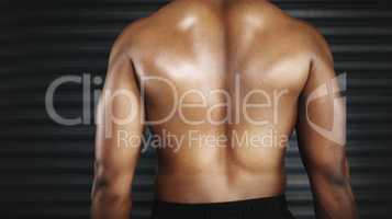 Back muscles like a beast. a shirtless man with defined back muscles.