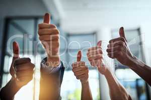 Diverse group of successful businesspeople approving and giving thumbs up for satisfaction and job well done. Corporate team of cheerful colleagues using their hands to say yes showing agreement