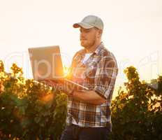 Farmer typing on a laptop outdoors using the internet to plan a harvest and crop growth on a vineyard farm. An agriculture expert using technology to manage his organic and sustainable produce