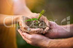 Caring people holding in hands a seed, plant and soil growth for environmental awareness conservation or sustainable development. Eco couple with small tree growing in hand for fertility or Earth Day