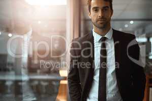 Standing tall in his successful empire. Portrait of a young businessman standing in an office.