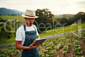 Using technology to stay ahead. a handsome young man using a tablet while working on his farm.