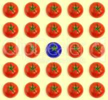 Standing out from the crowd. Conceptual shot of a blue tomato surrounded by a bunch of red tomatoes.