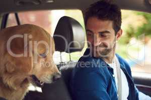 Did you sleep the whole way here. a handsome young man taking a drive with his dog in the backseat.