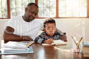 Supervision is important. a handsome young father helping his son with some homework.