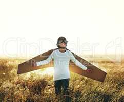 Spread your wings and soar. a young boy pretending to fly with a pair of cardboard wings in an open field.