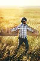 There world is filled with adventures worth exploring. a young boy pretending to fly with a pair of cardboard wings in an open field.