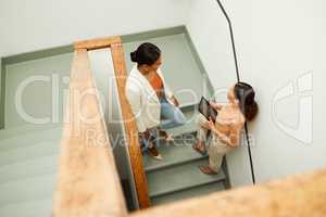 Colleagues discuss, plan and share ideas on a staircase at work in a startup business. Overhead of Businesswomen talking, chatting and socializing on a stairway during a break at a corporate job